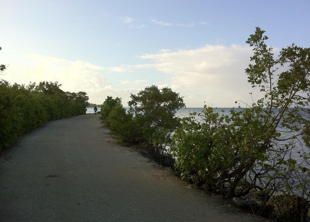 Caraibe Creol' Keys Leilighet Port-Louis Rom bilde